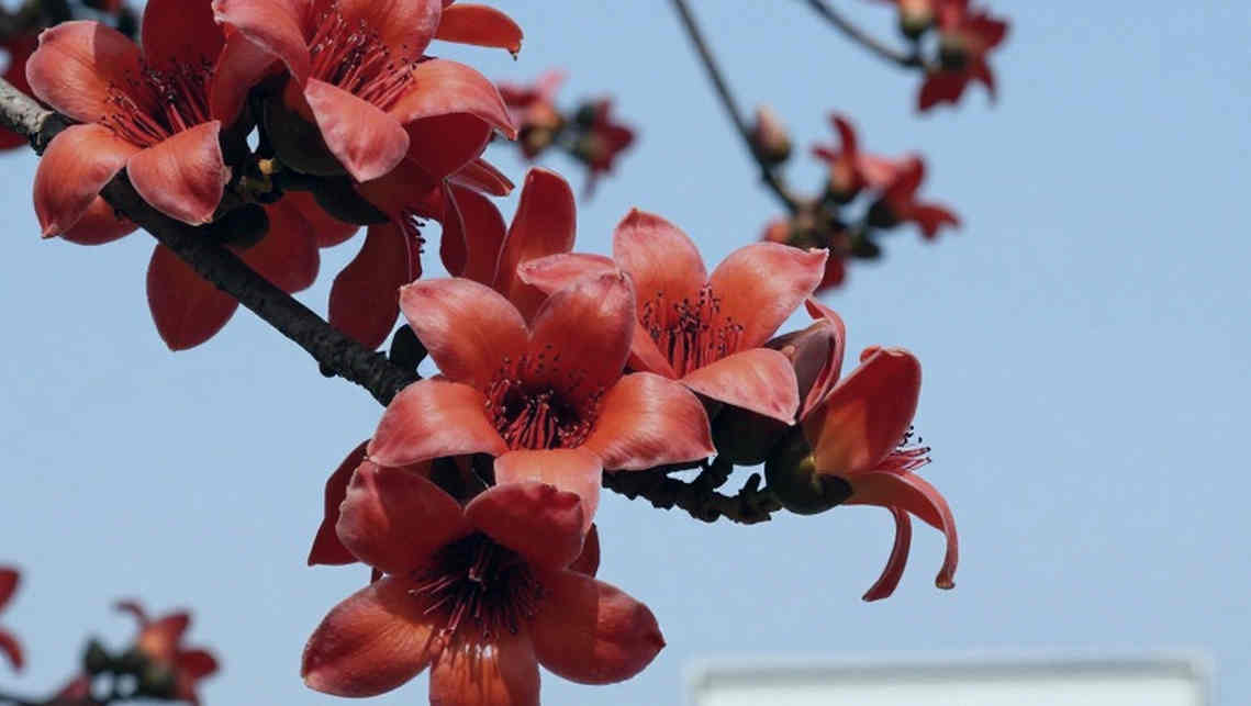 ৯.৯১ সেকেন্ড আর যে ঘরটা ফাঁকা রয়ে গেল