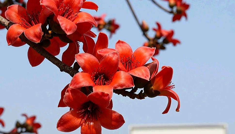 স্টপওয়াচের খাতা: বাংলাদেশের অ্যাথলেটিক্স তথ্য কেন অপরিবর্তনীয় লেজারে বাঁচাতে হবে